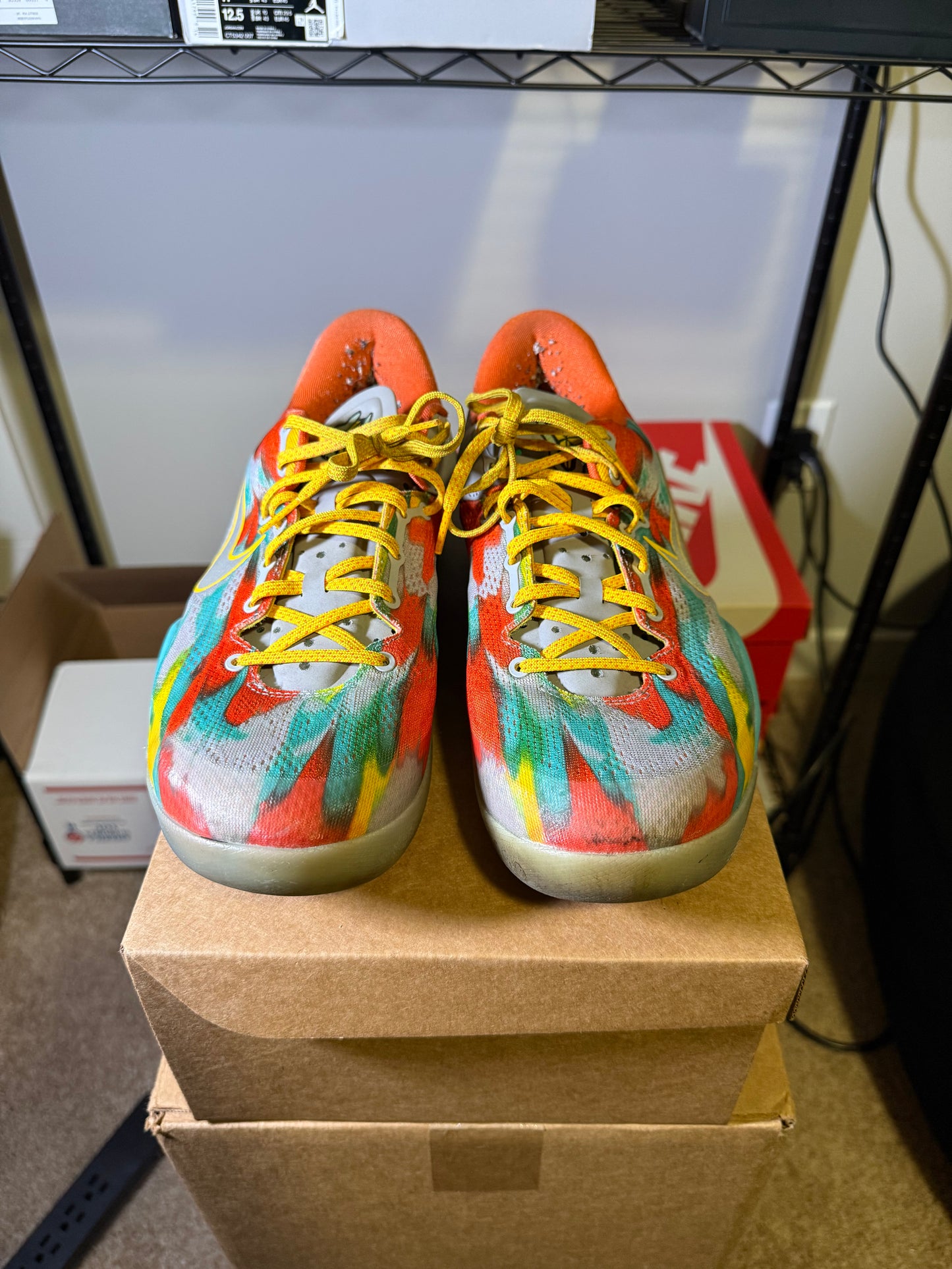 Size 11 - Kobe 8 Protro Venice Beach