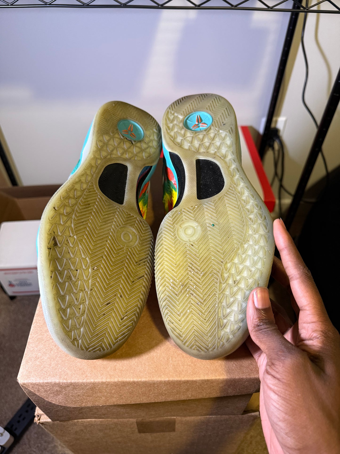 Size 11 - Kobe 8 Protro Venice Beach