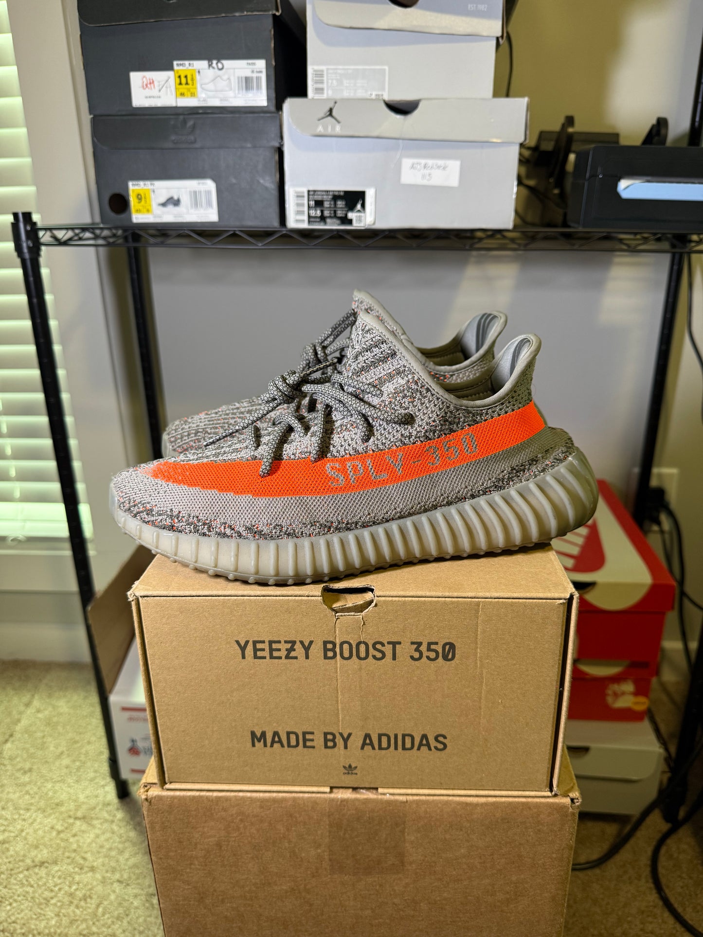 Size 10 - YZY 350 Beluga