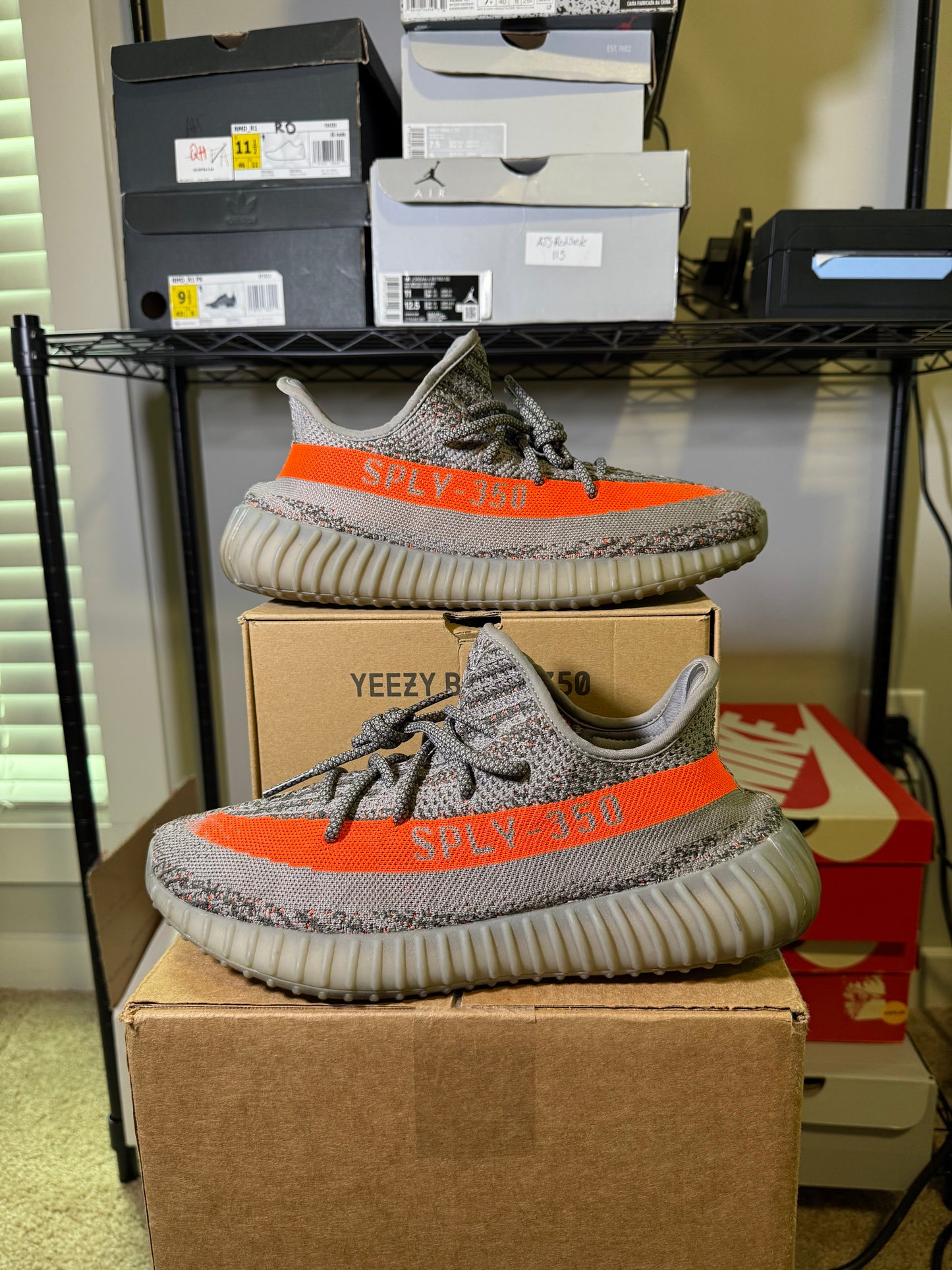 Size 10 - YZY 350 Beluga