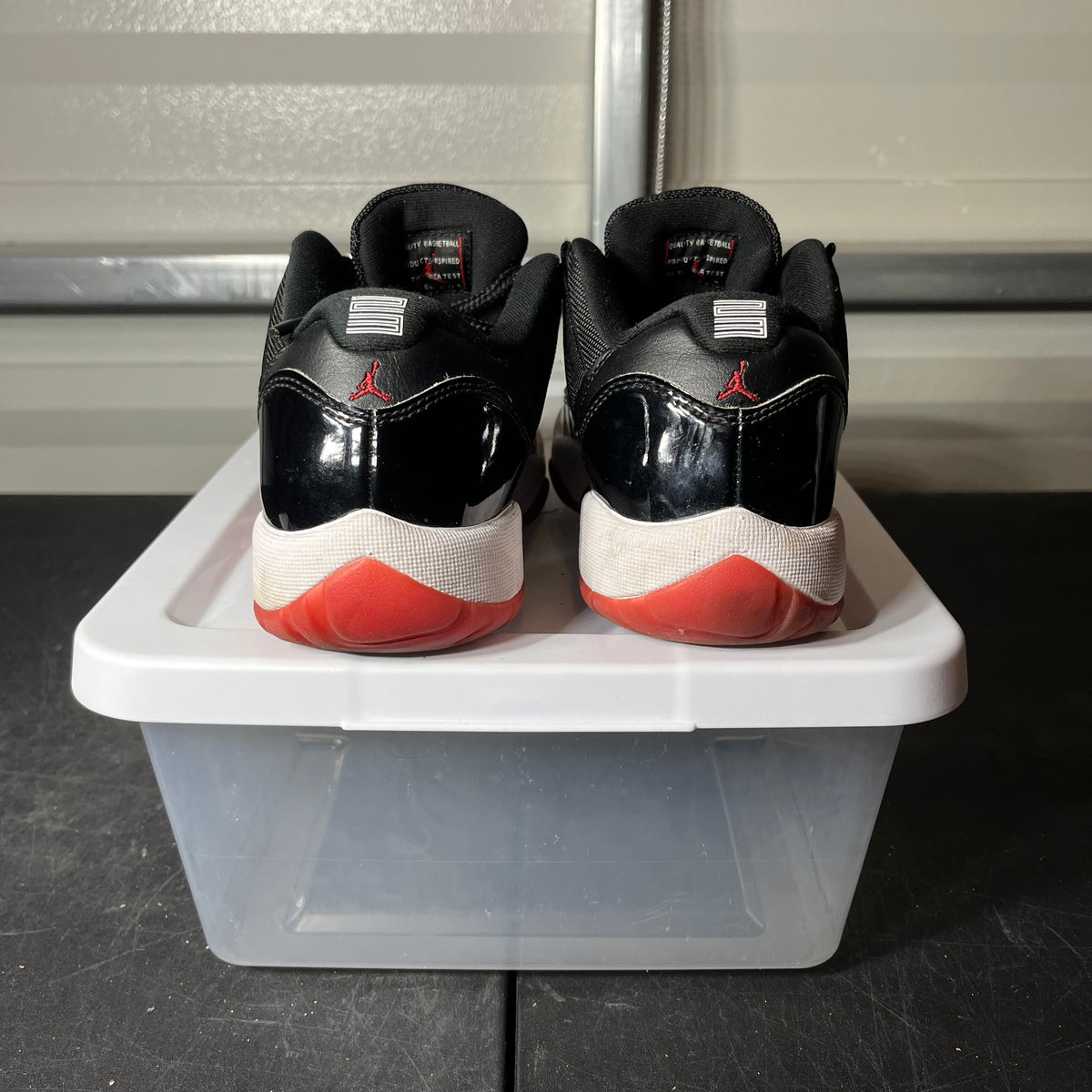 Size 6 - AJ 11 Low Bred