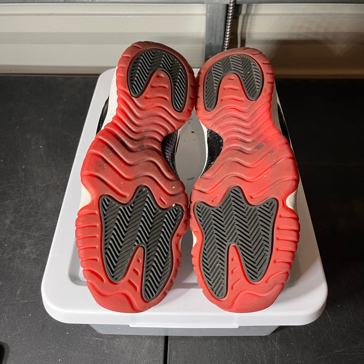 Size 6 - AJ 11 Low Bred