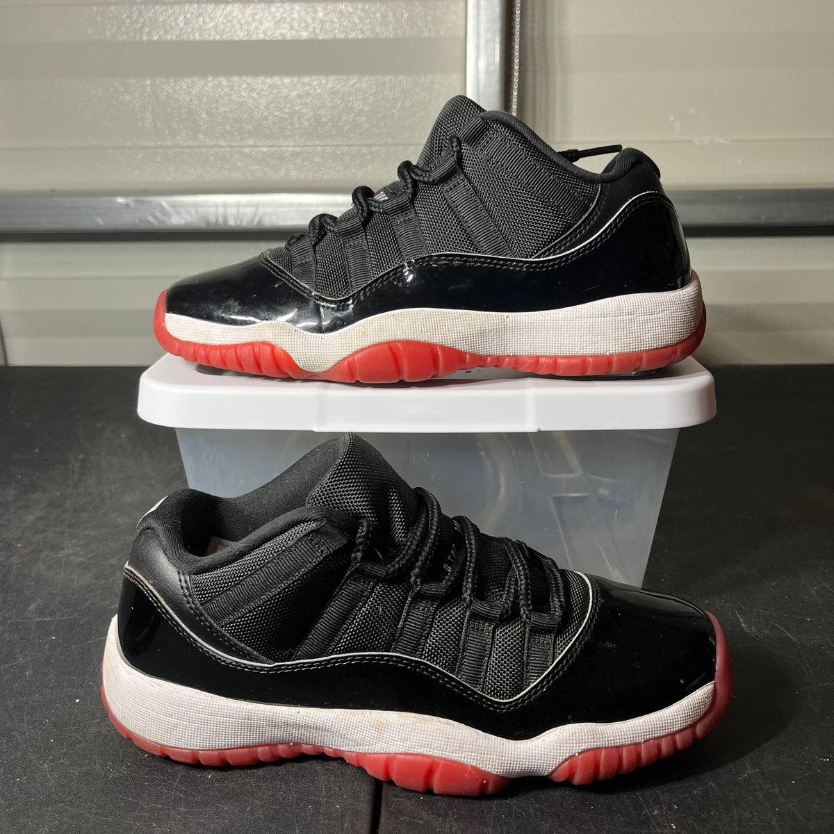 Size 6 - AJ 11 Low Bred