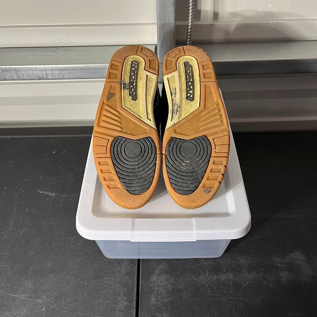 Size 9 - AJ 3 Retro Animal Instinct