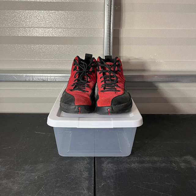 Size 12 - AJ 12 Retro Reverse Flu Game