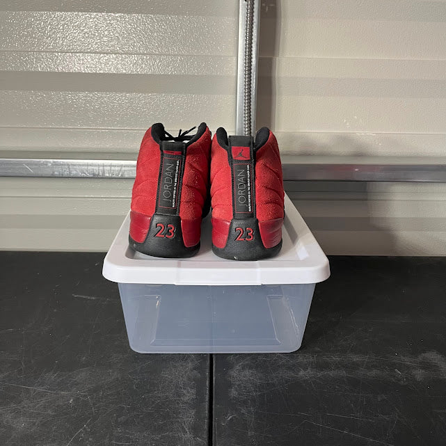 Size 12 - AJ 12 Retro Reverse Flu Game