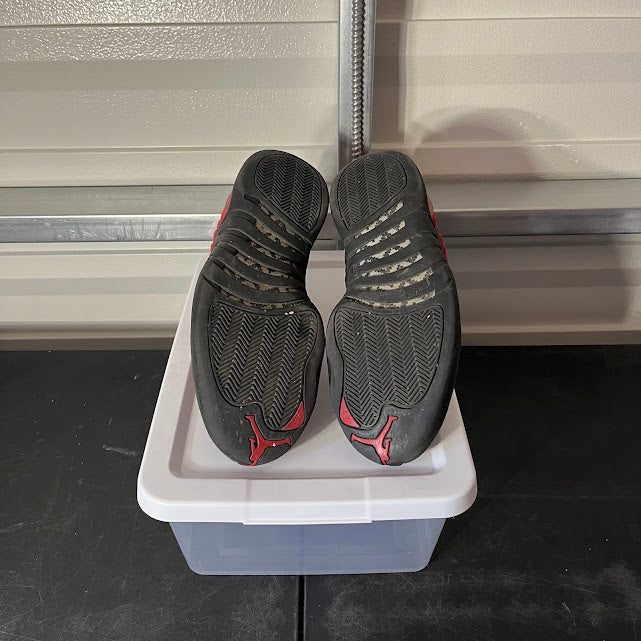 Size 12 - AJ 12 Retro Reverse Flu Game