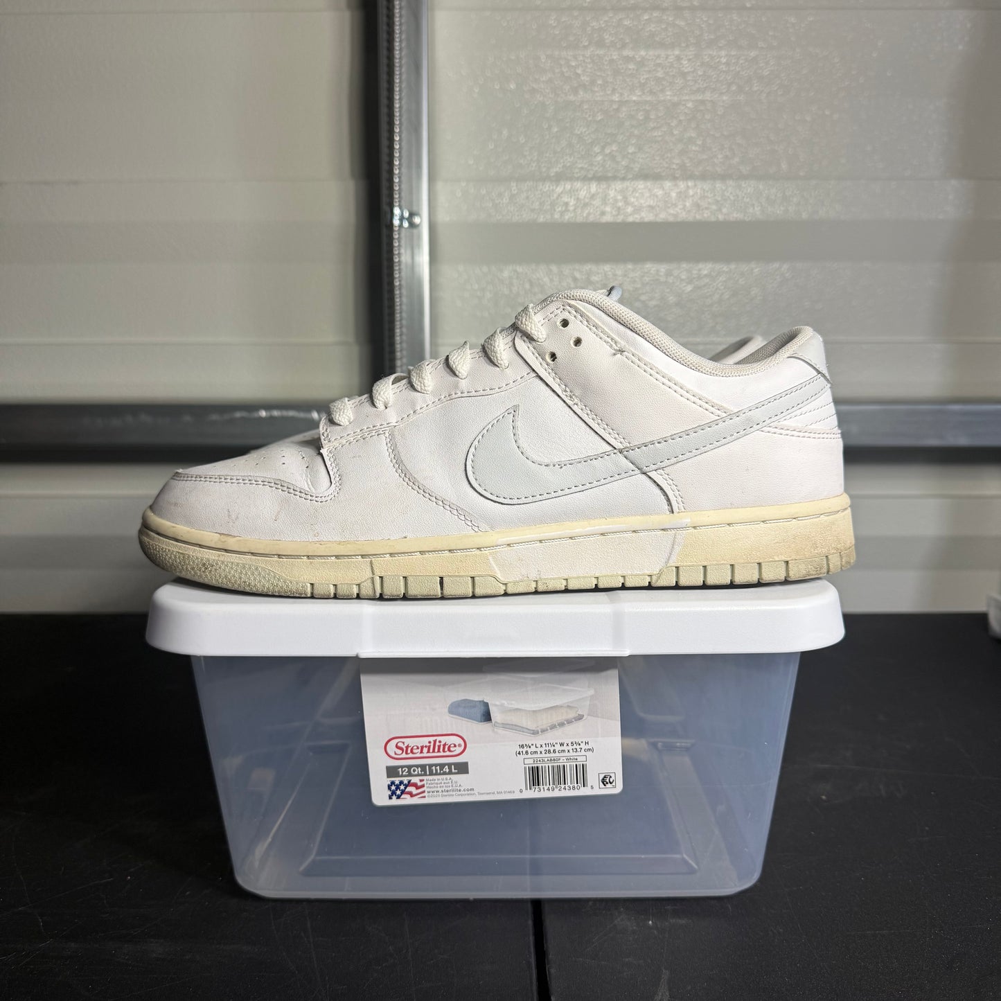 Size 10.5 - Dunk Low Sail Light Bone