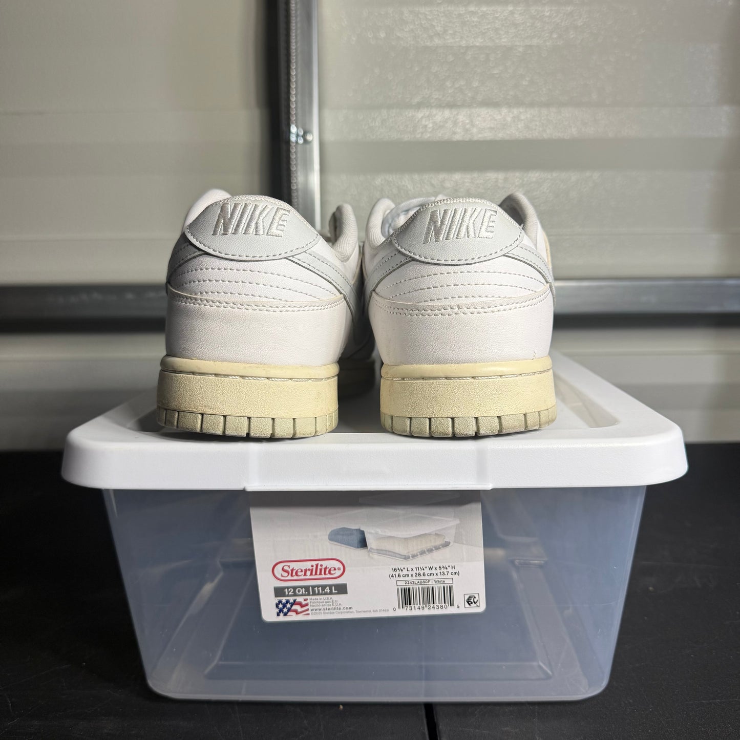 Size 10.5 - Dunk Low Sail Light Bone