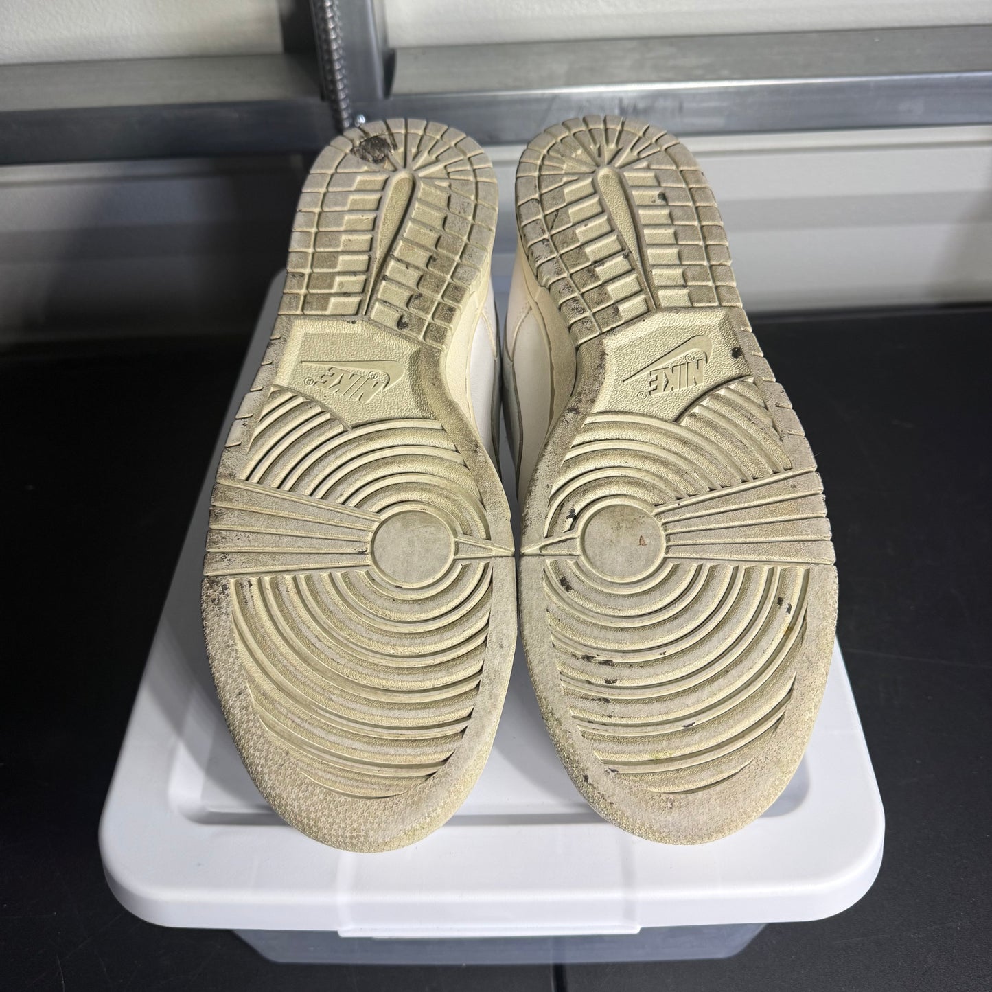 Size 10.5 - Dunk Low Sail Light Bone