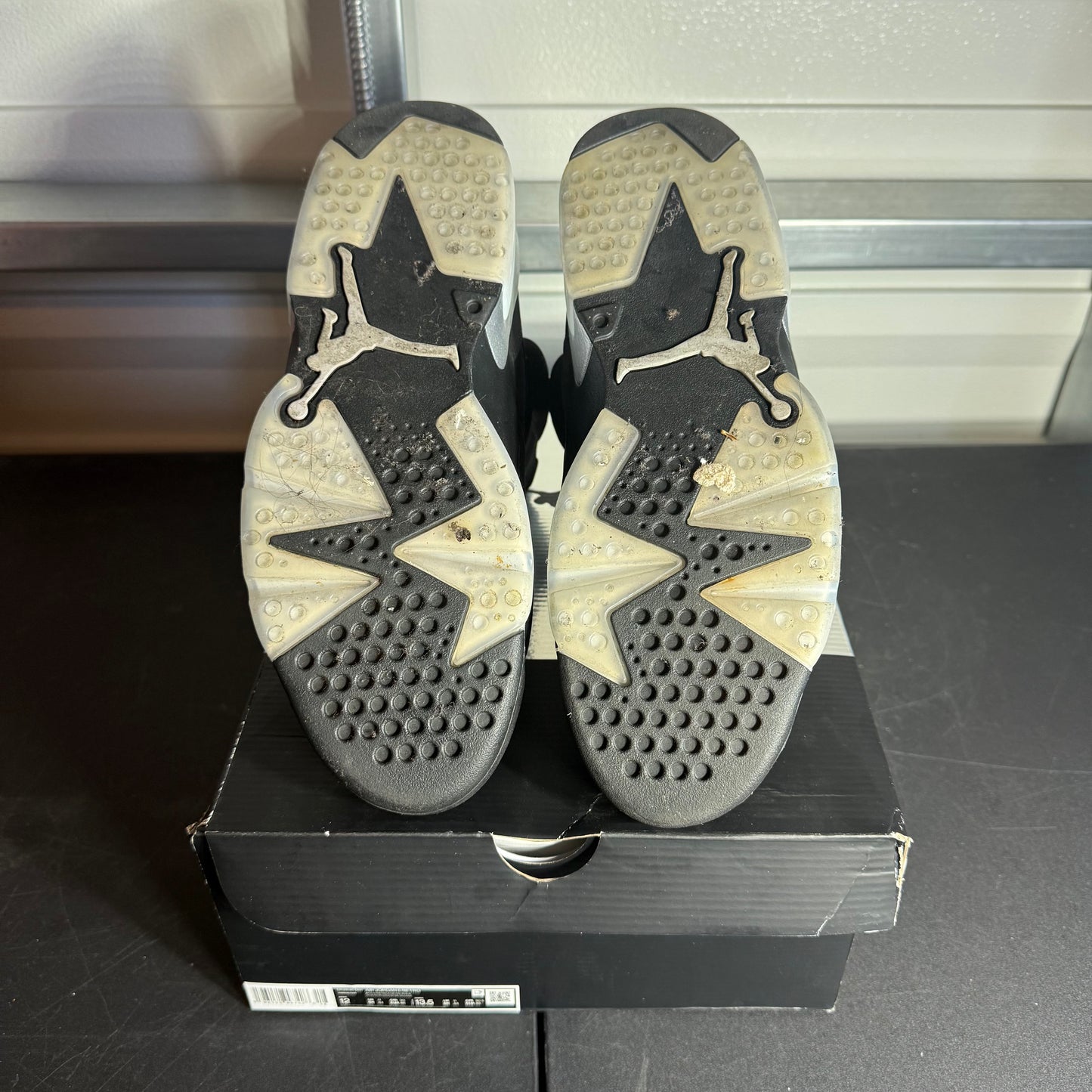 Size 12 - AJ 6 Retro Chrome