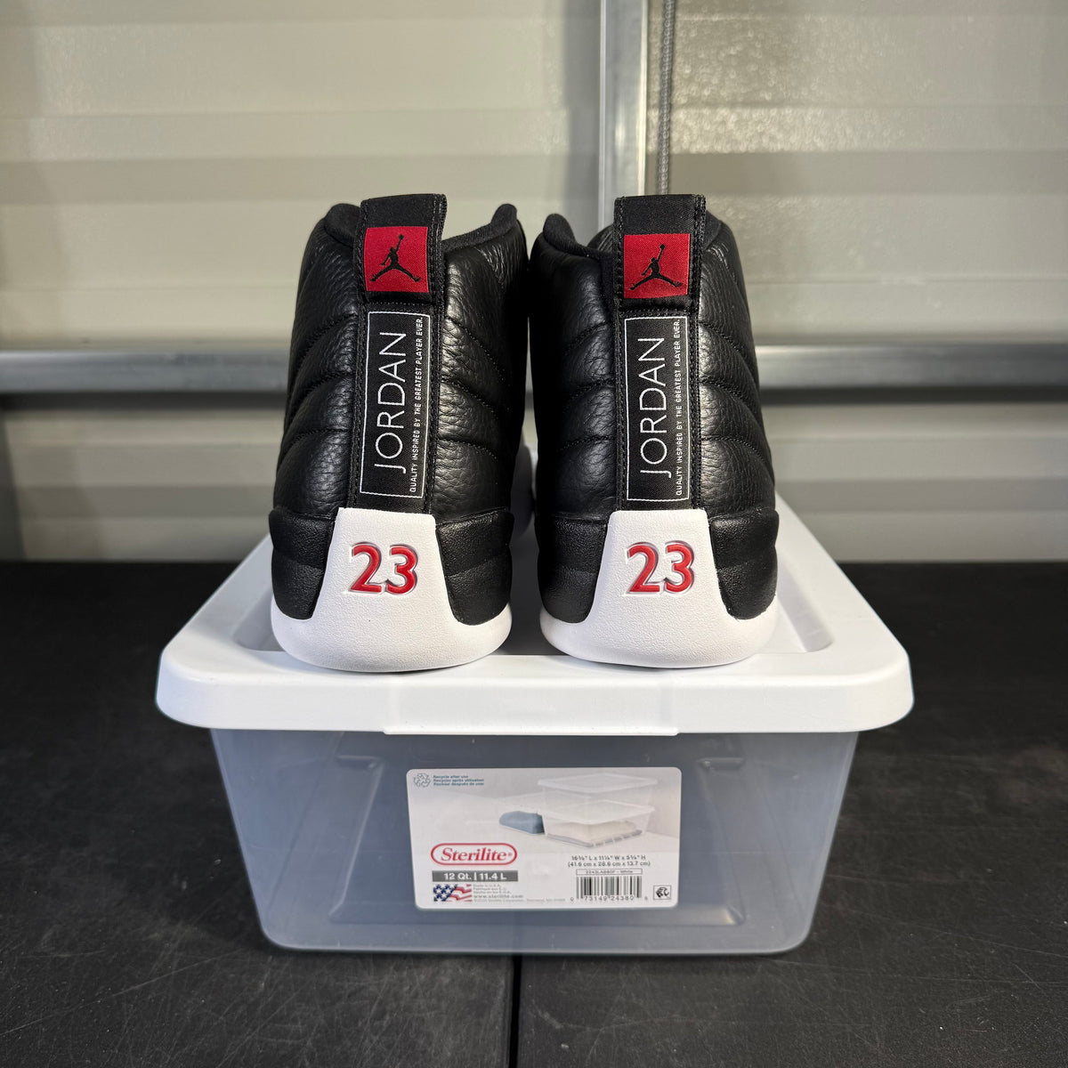Size 12 - AJ 12 Playoff