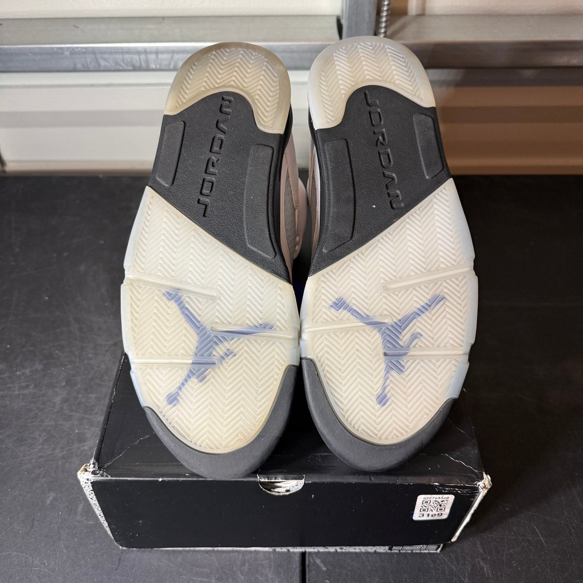 Size 12 - AJ 5 Dark Concord