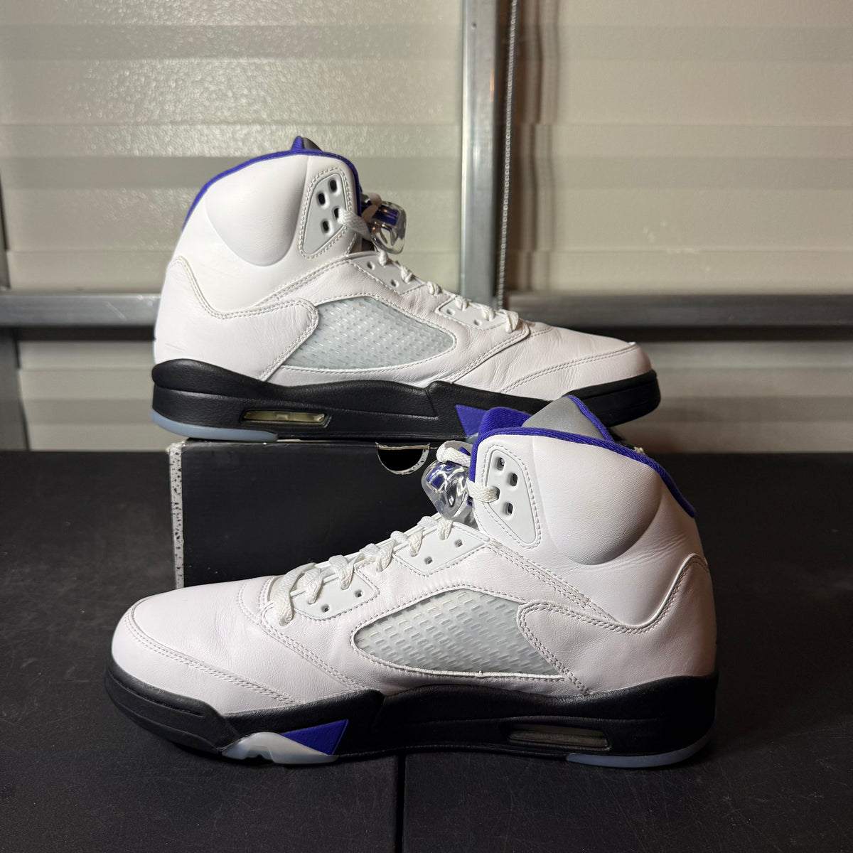 Size 12 - AJ 5 Dark Concord