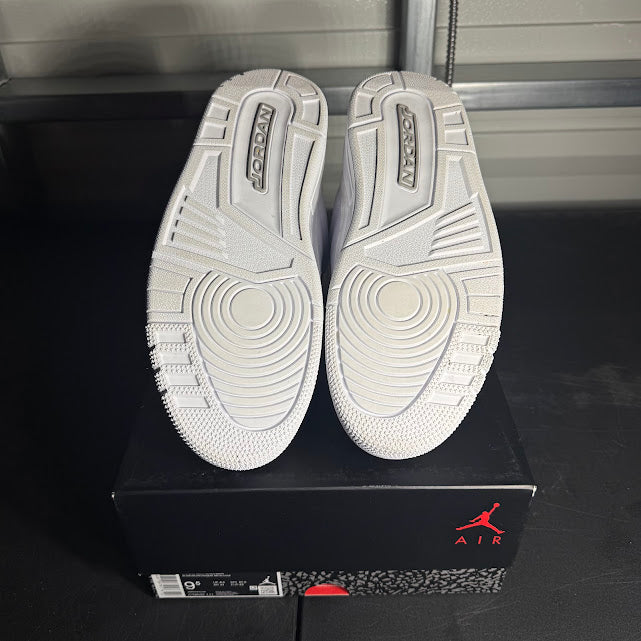 Size 9.5 - AJ 3 Retro Pure Money