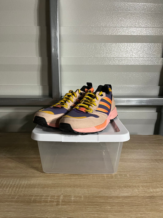 Size 11 - National Park Foundation x ZX 5000 Joshua Tree