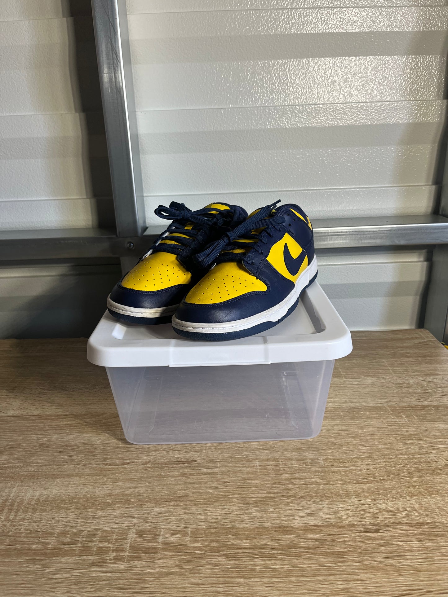Size 11 - Dunk Low Michigan