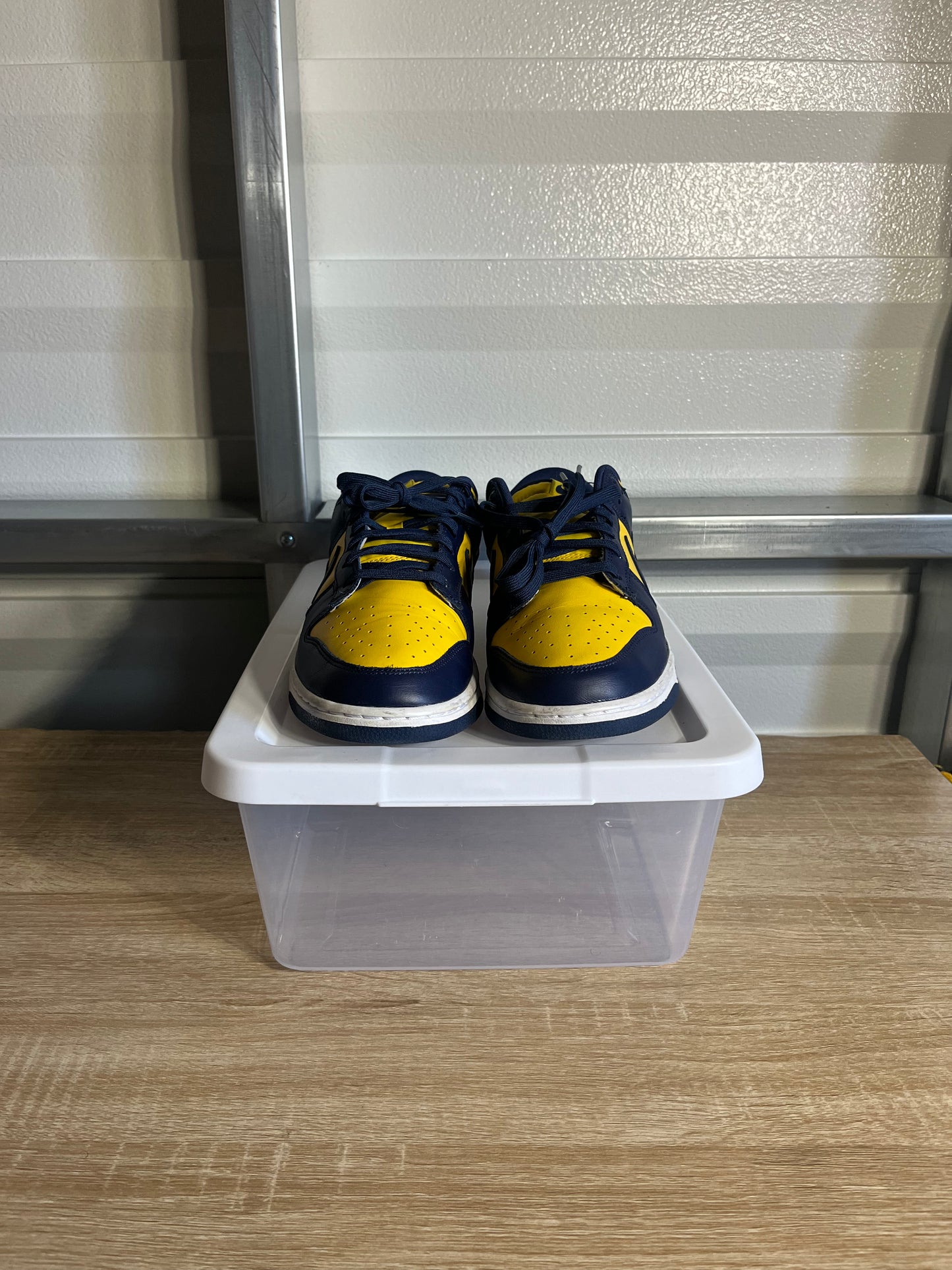Size 11 - Dunk Low Michigan