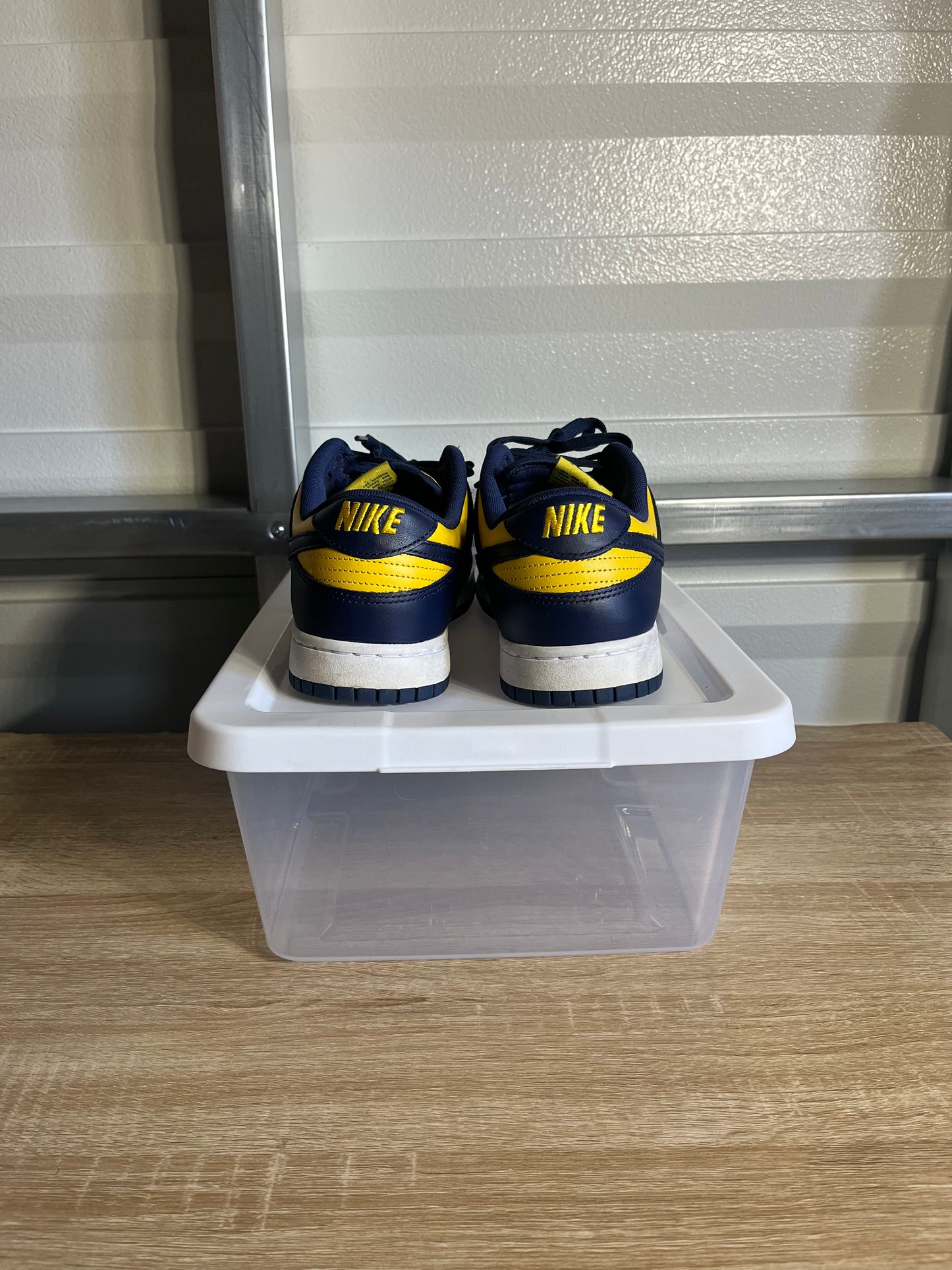 Size 11 - Dunk Low Michigan
