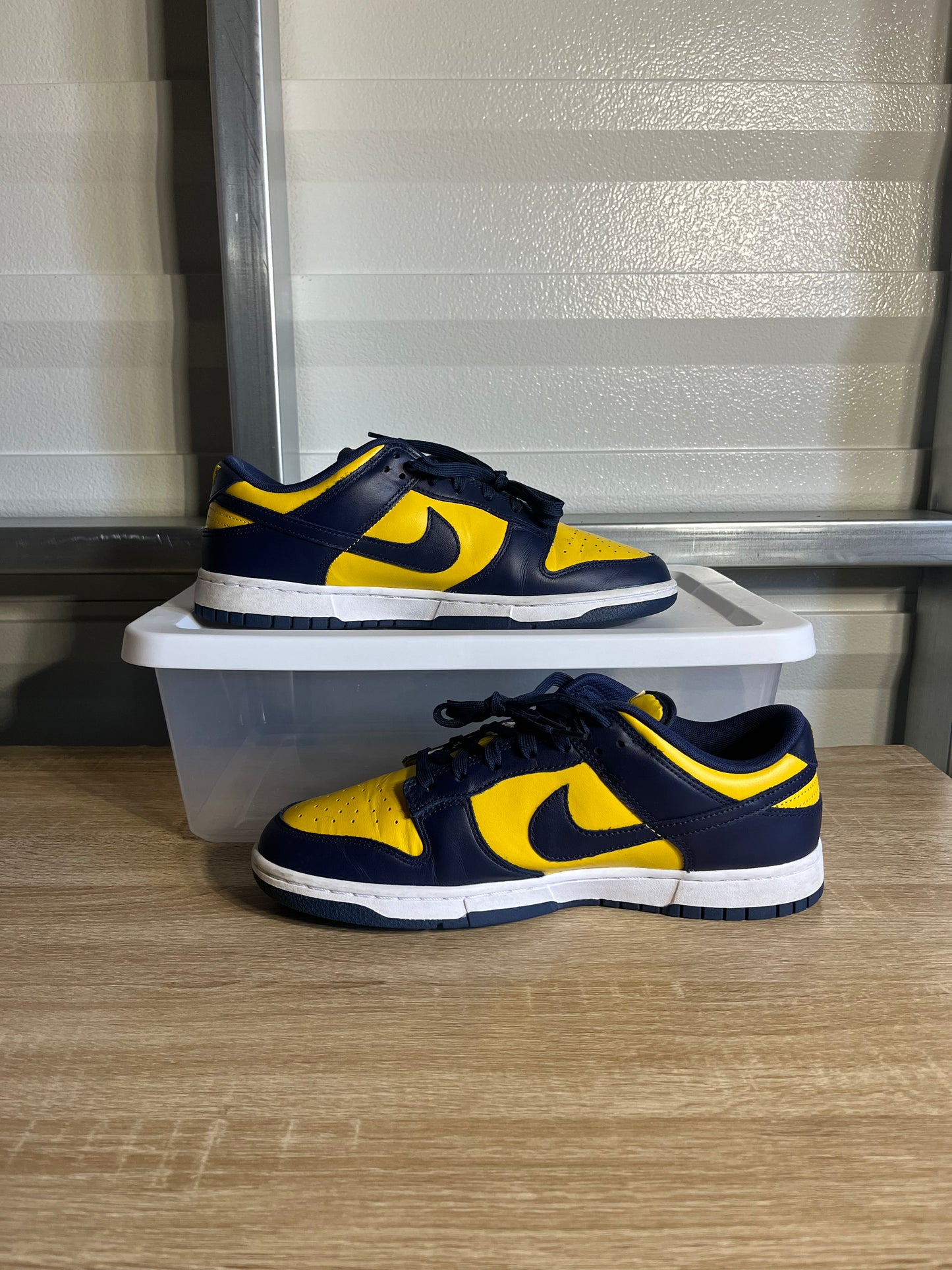 Size 11 - Dunk Low Michigan