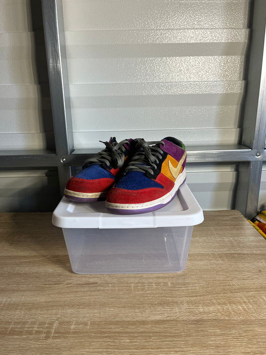 Size 11 - Dunk Low SP Viotech