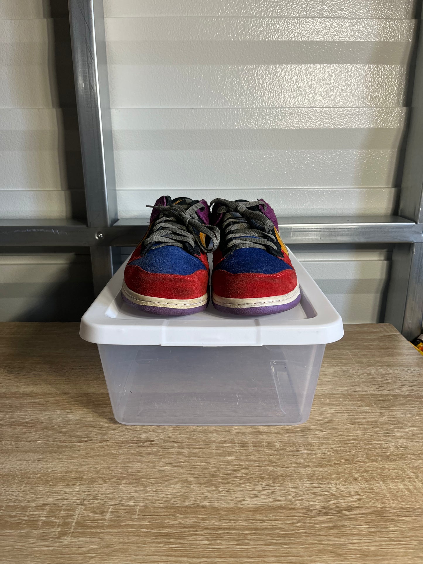 Size 11 - Dunk Low SP Viotech