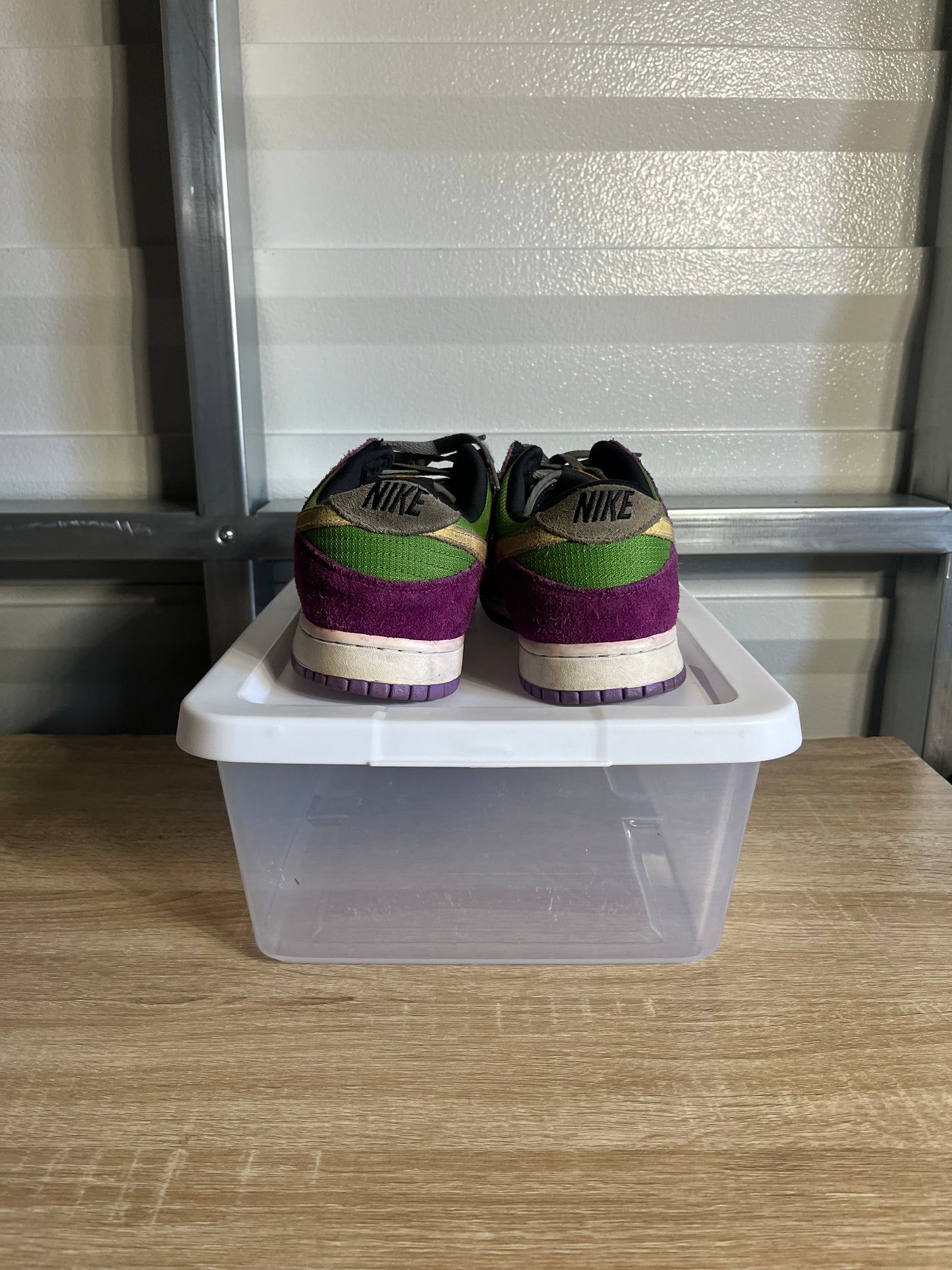 Size 11 - Dunk Low SP Viotech