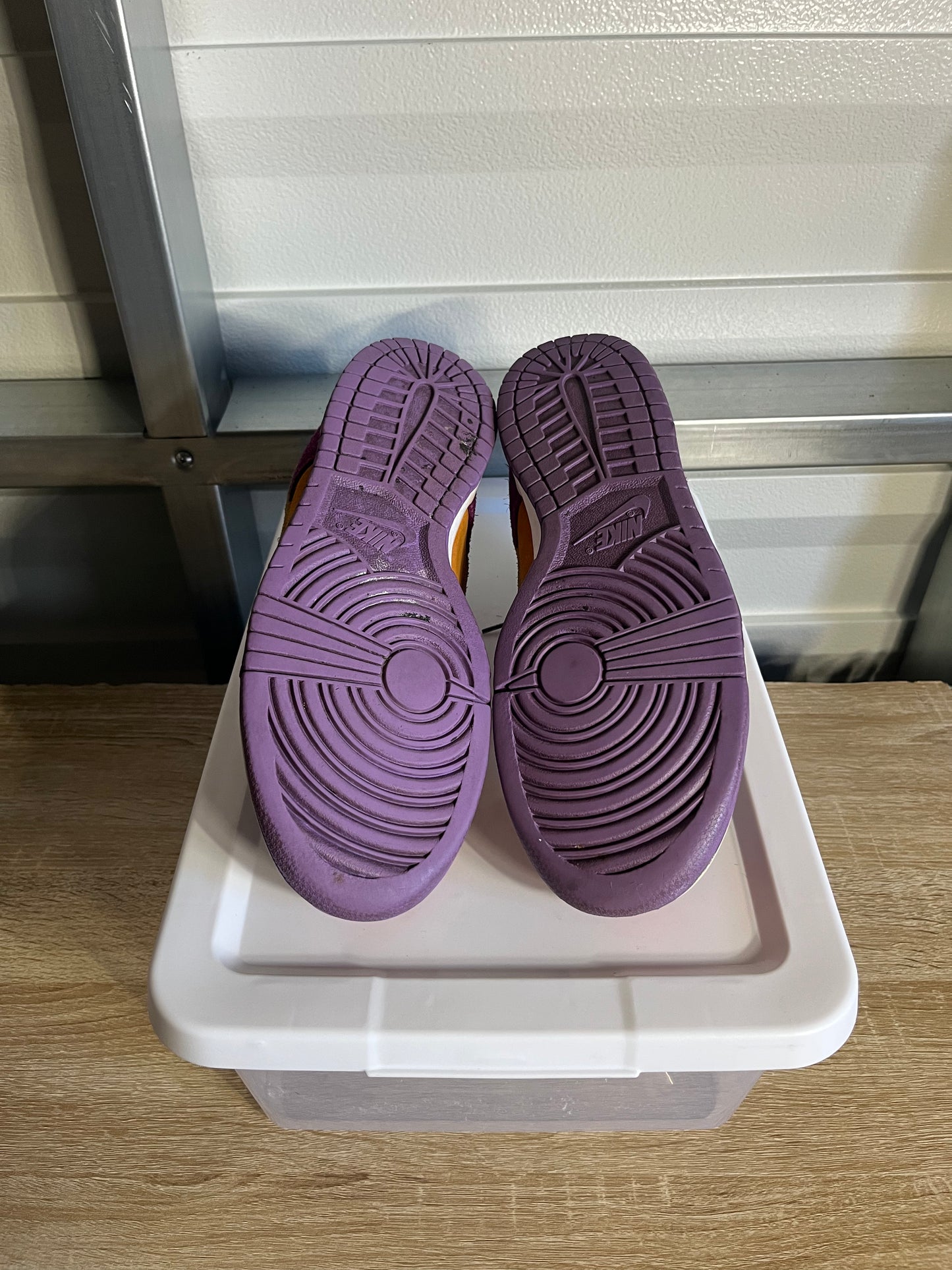 Size 11 - Dunk Low SP Viotech