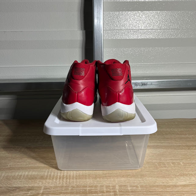 Size 11 - AJ 11 Retro Win Like '96