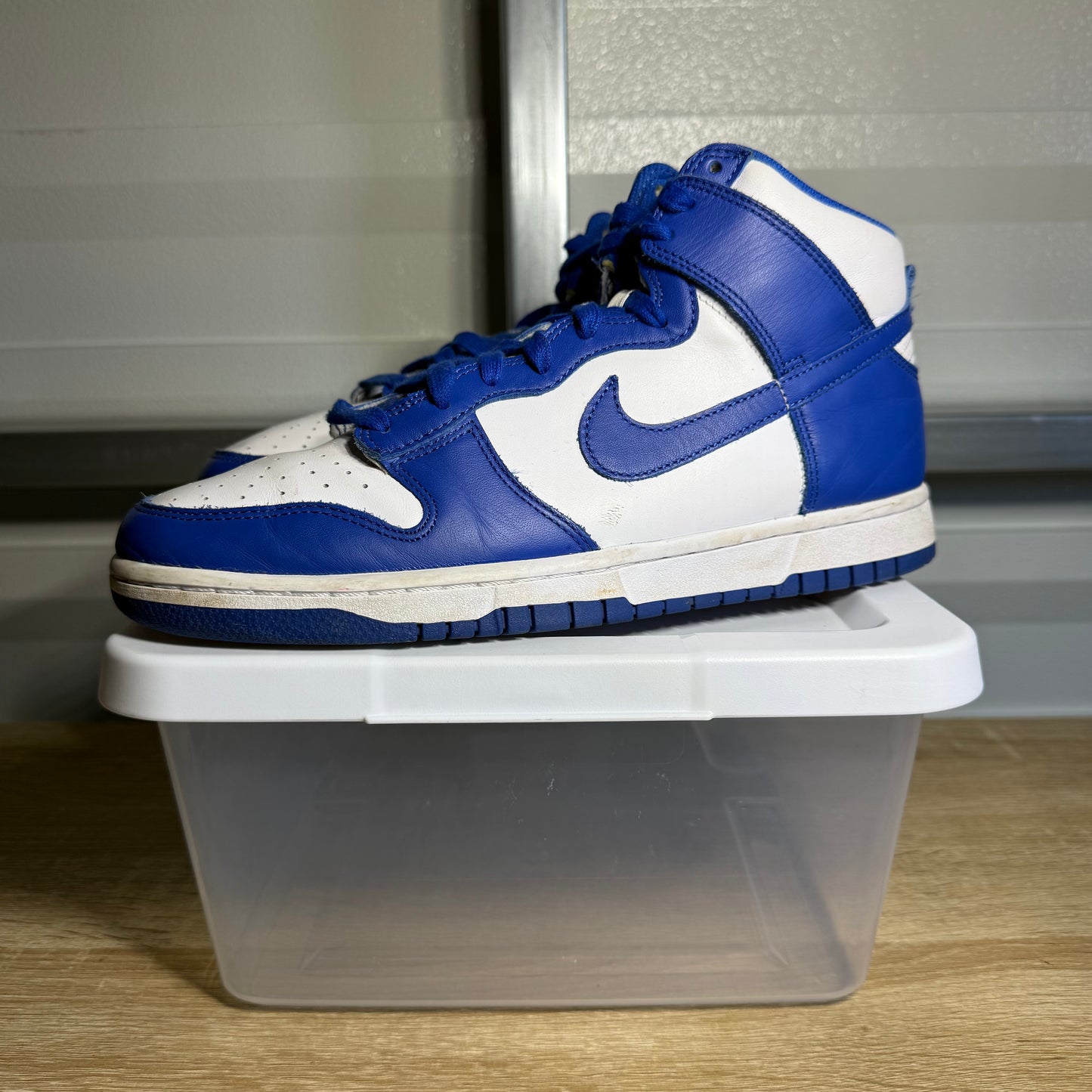 Size 10.5 - SB Dunk High Pro ISO Kentucky