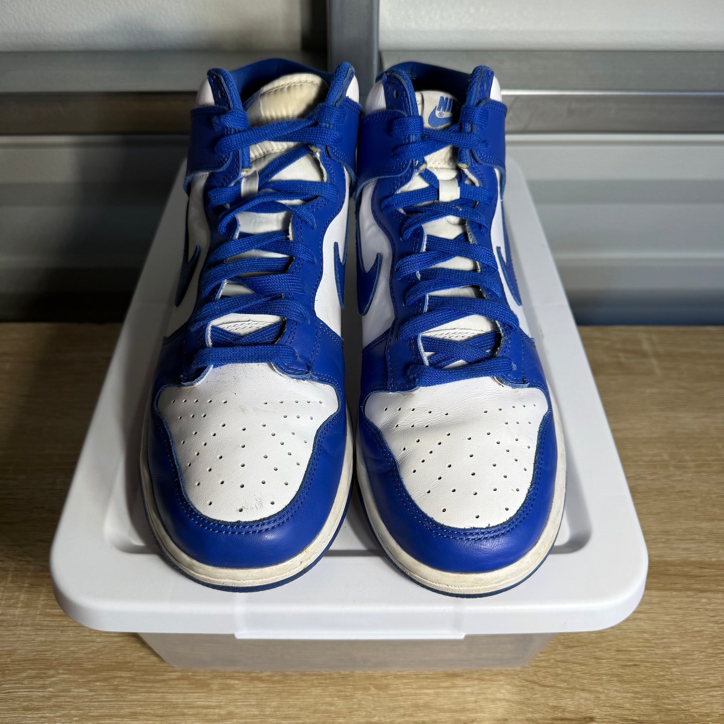 Size 10.5 - SB Dunk High Pro ISO Kentucky