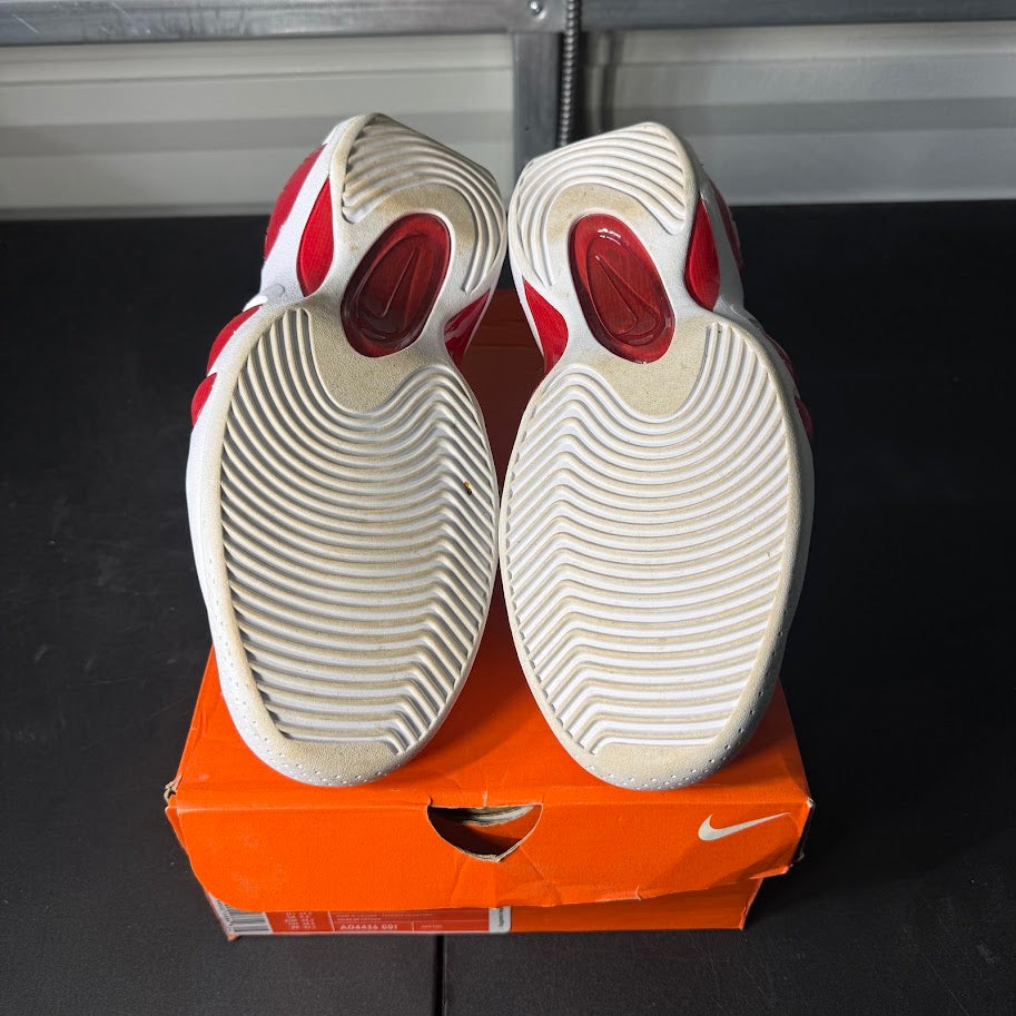 Size 10.5 - Zoom Flight 95 True Red