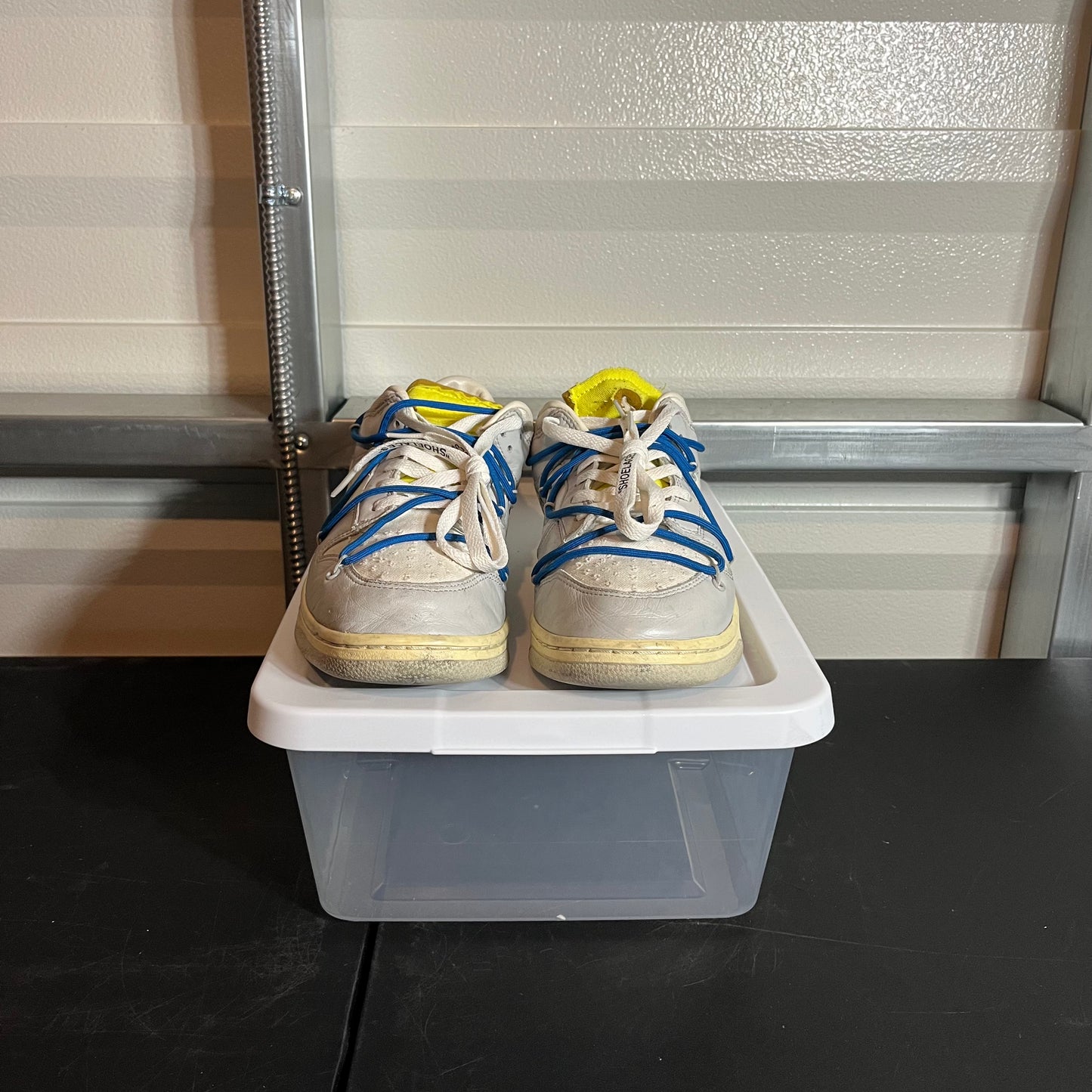 Size 12 - Dunk Low Off-White Lot