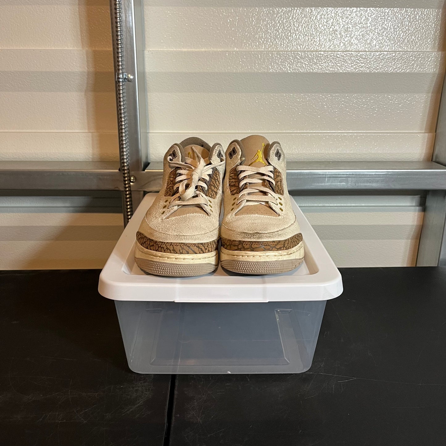 Size 9 - AJ 3 Retro Palomino