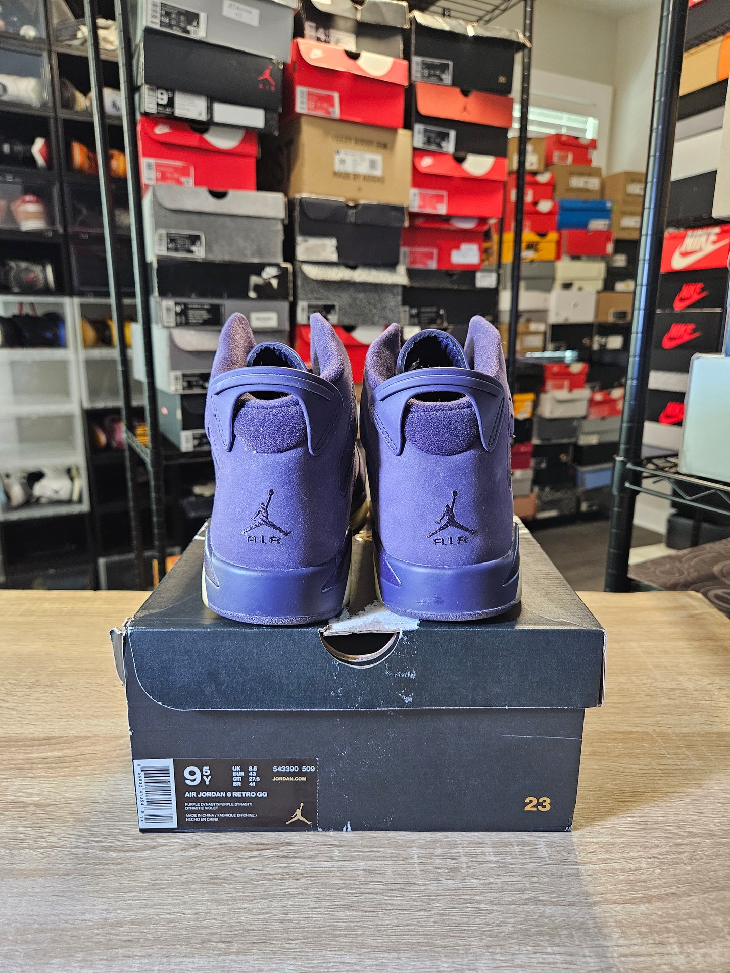 Size 9.5 - AJ 6 Retro Purple Dynasty