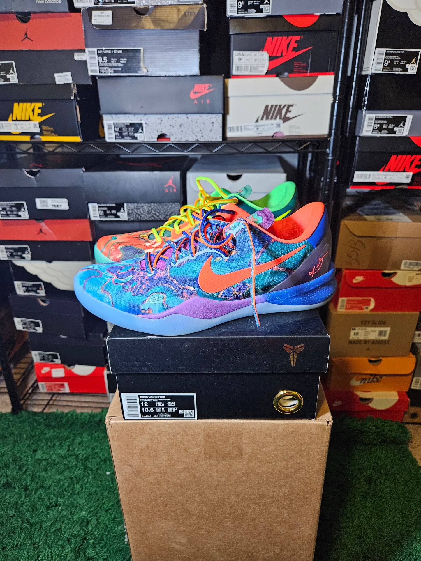 Size 12 - Kobe 8 What The