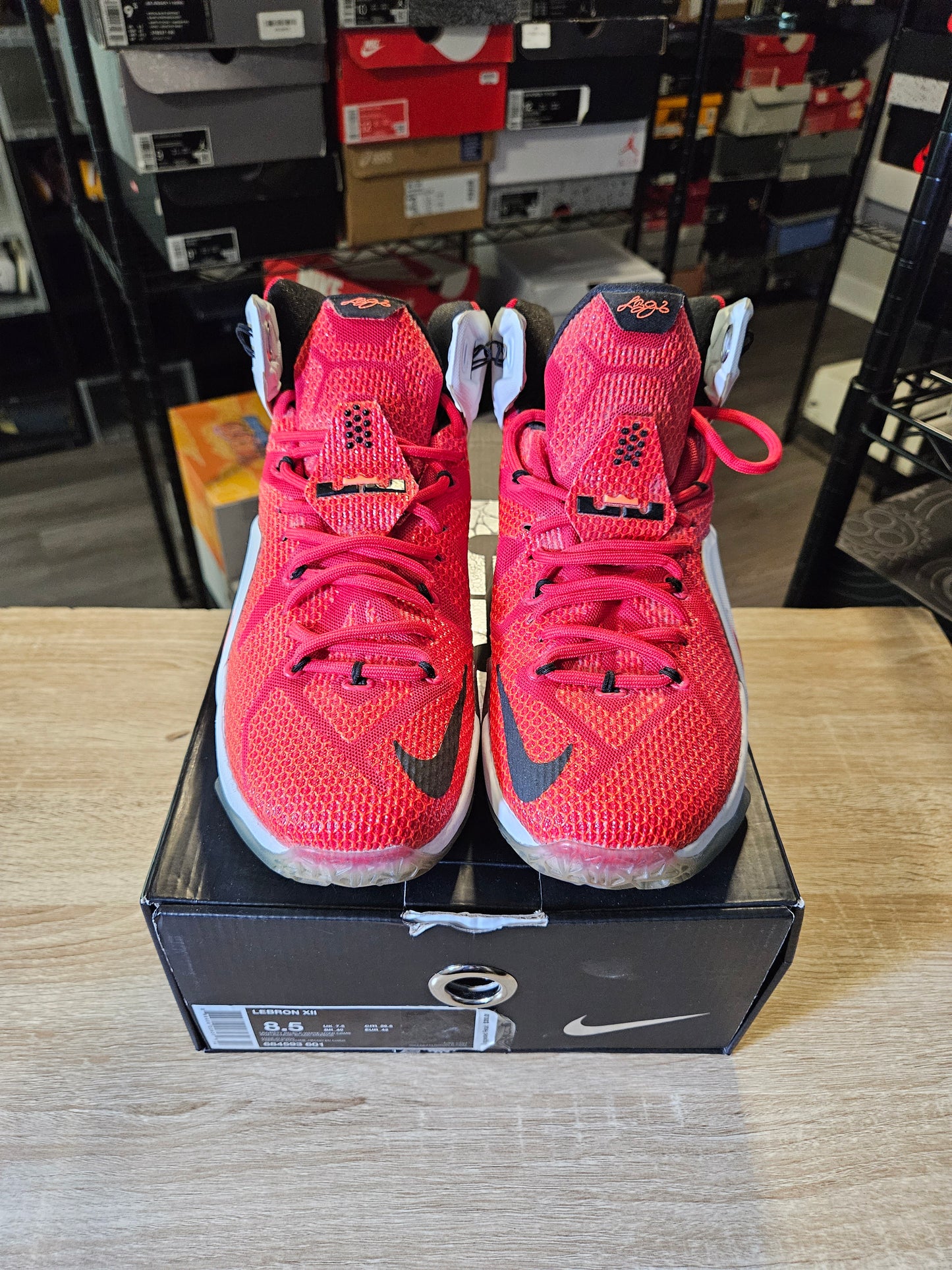 Size 8.5 - LeBron 12 Heart Of A Lion
