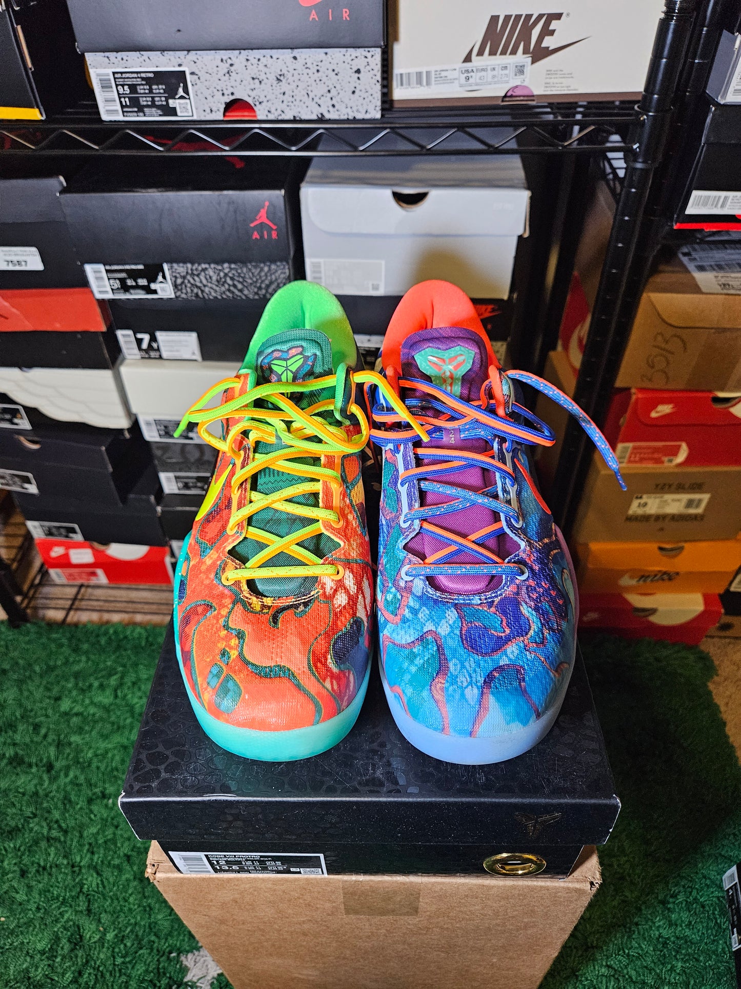 Size 12 - Kobe 8 What The