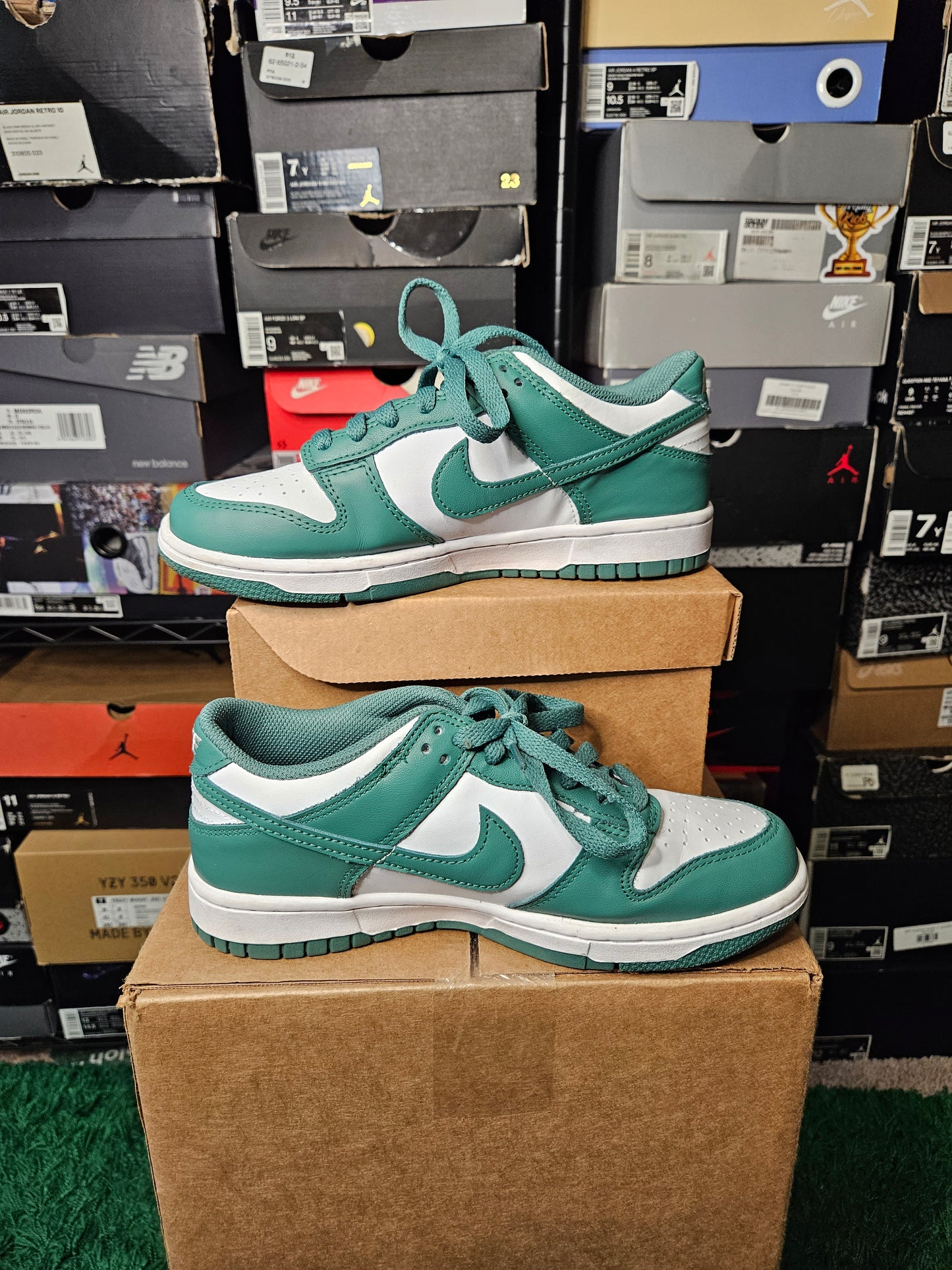 Size 6 - Nike Dunk Low Biocostal