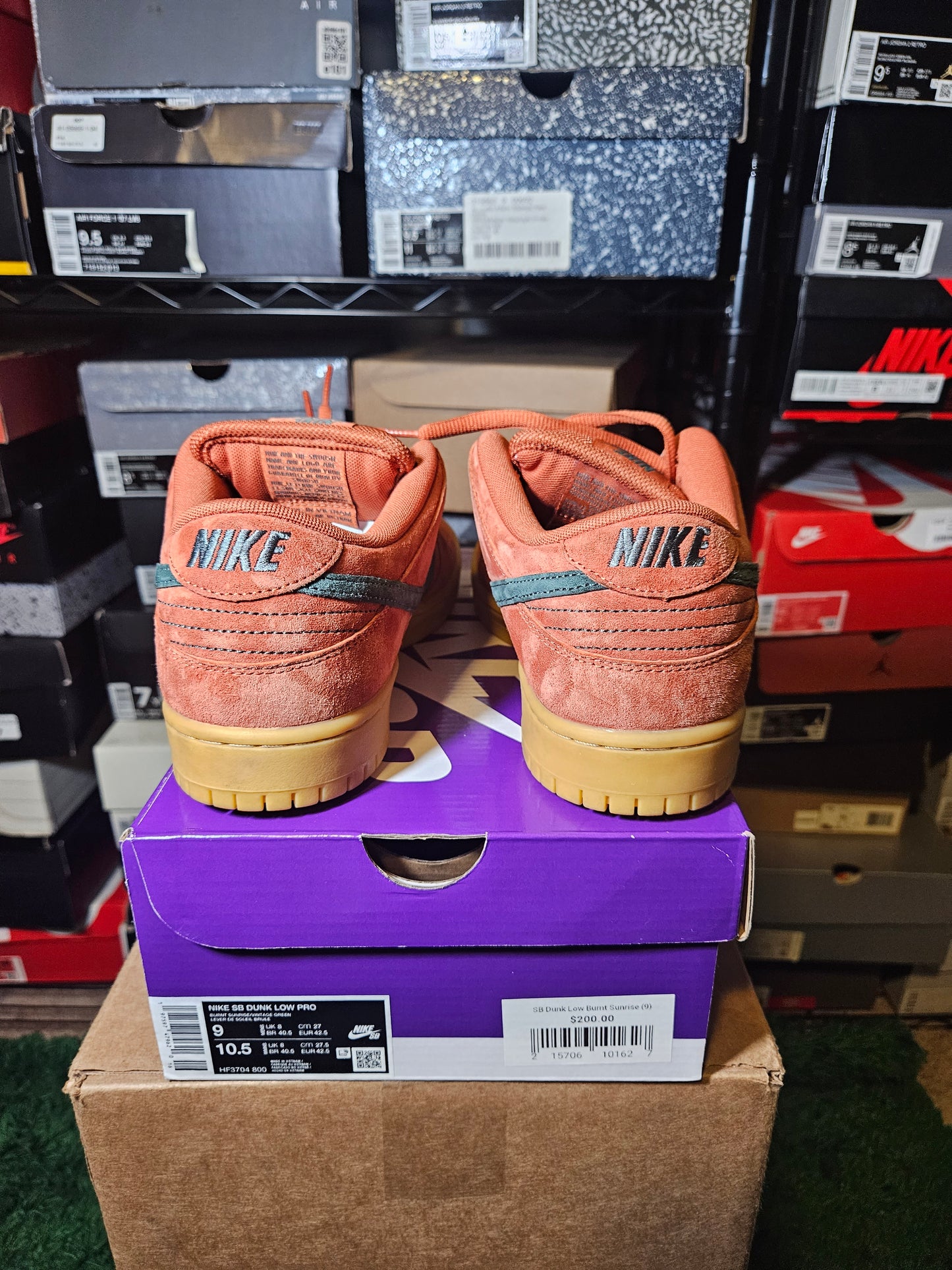 Size 9 - Dunk Pro SB Low Burnt Sunrise