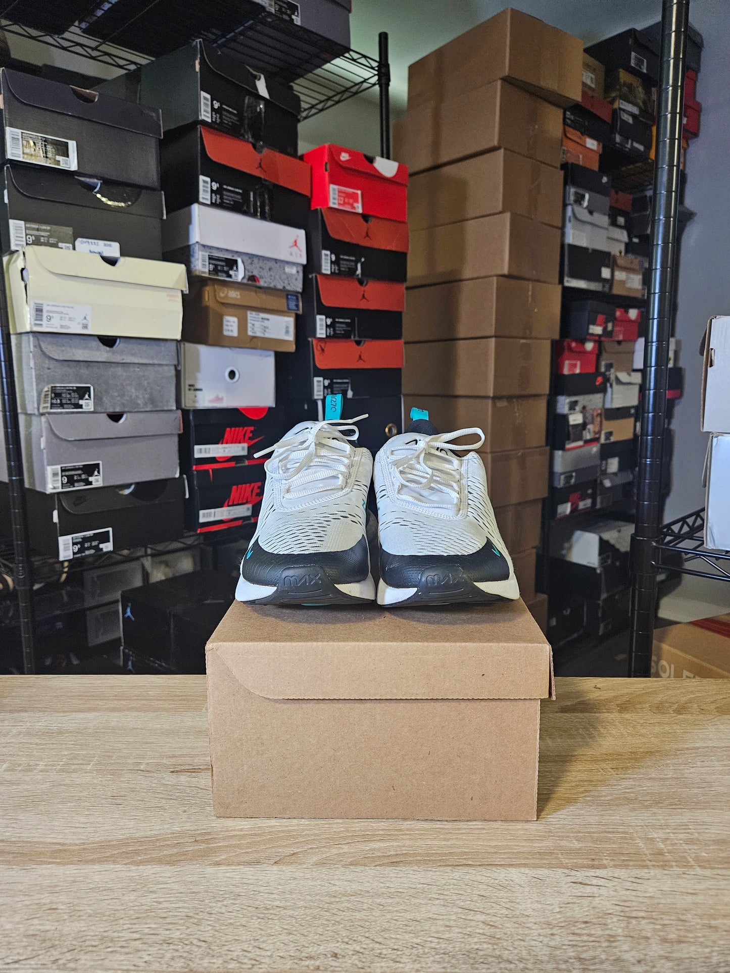 Size 10 - Air Max 270 Dusty Cactus