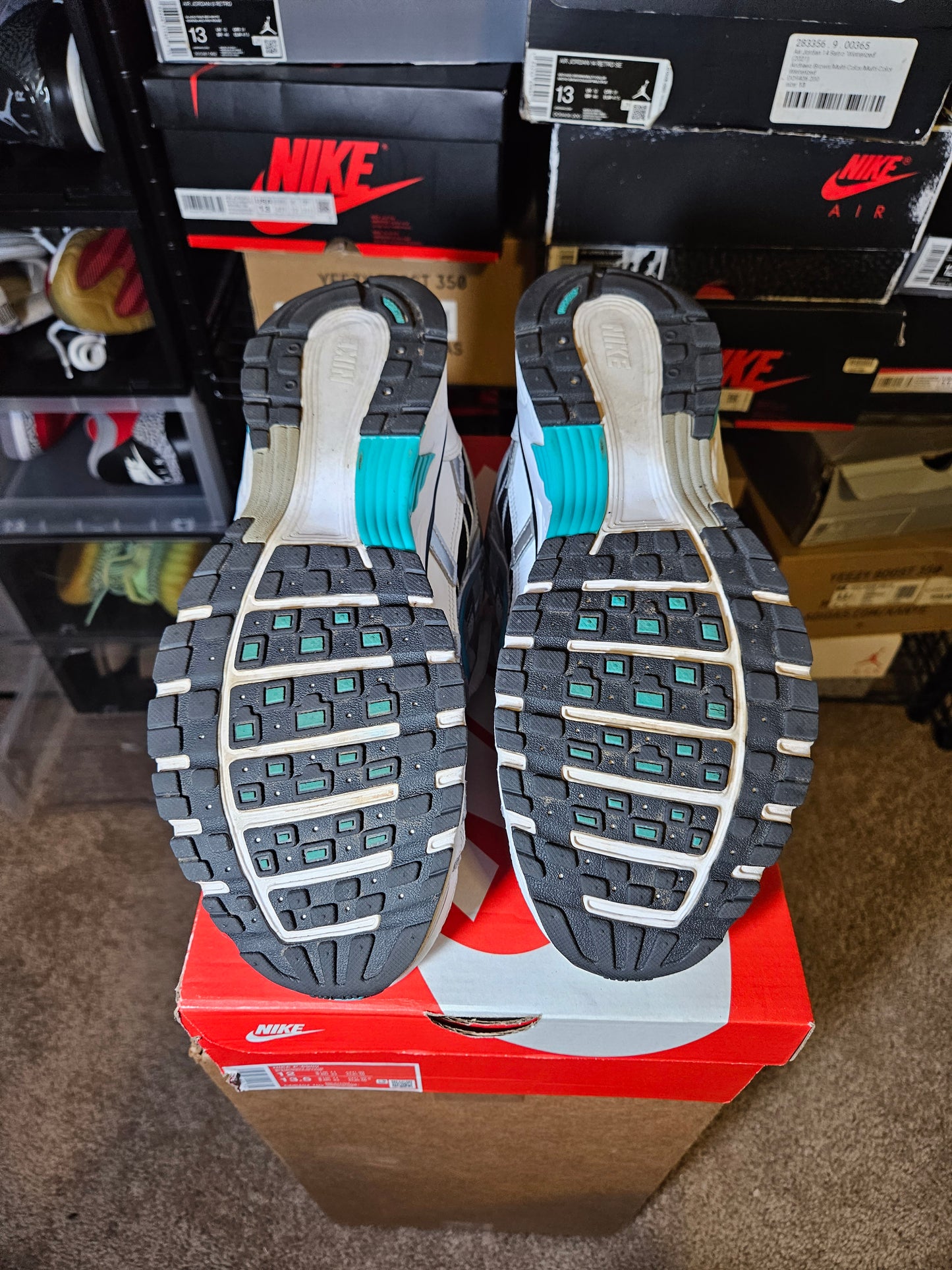 Size 12 - P-6000 Dusty Cactus
