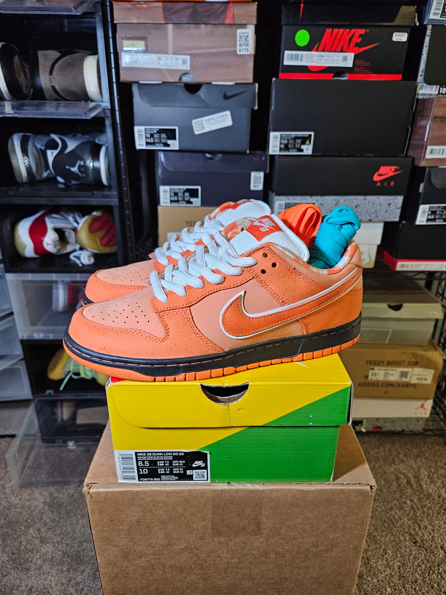 Size 8.5 - Dunk Low SB x Concepts Orange Lobster