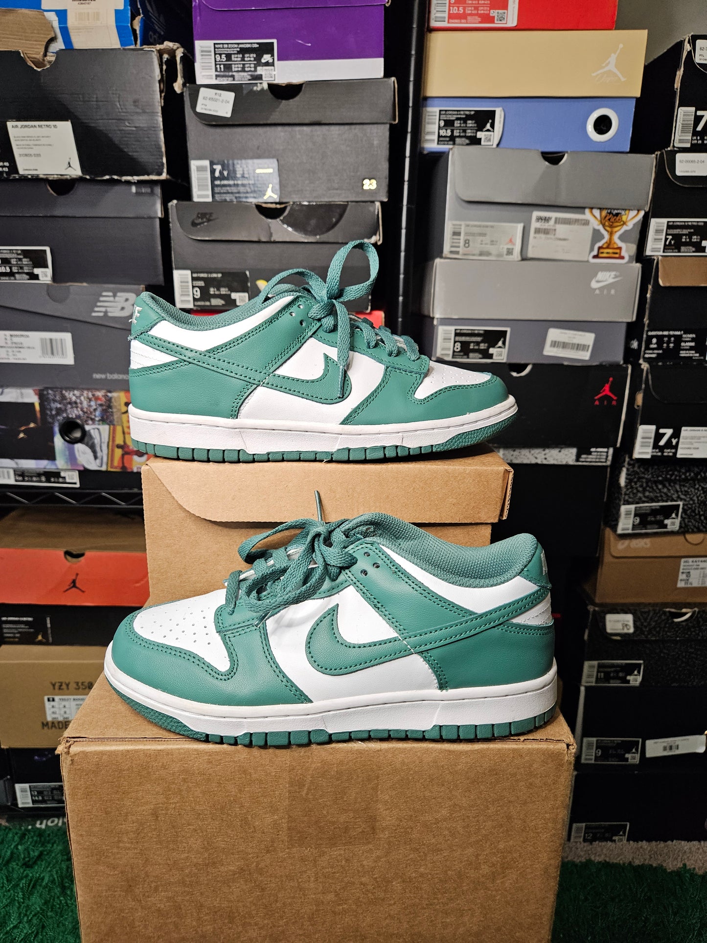 Size 6 - Nike Dunk Low Biocostal