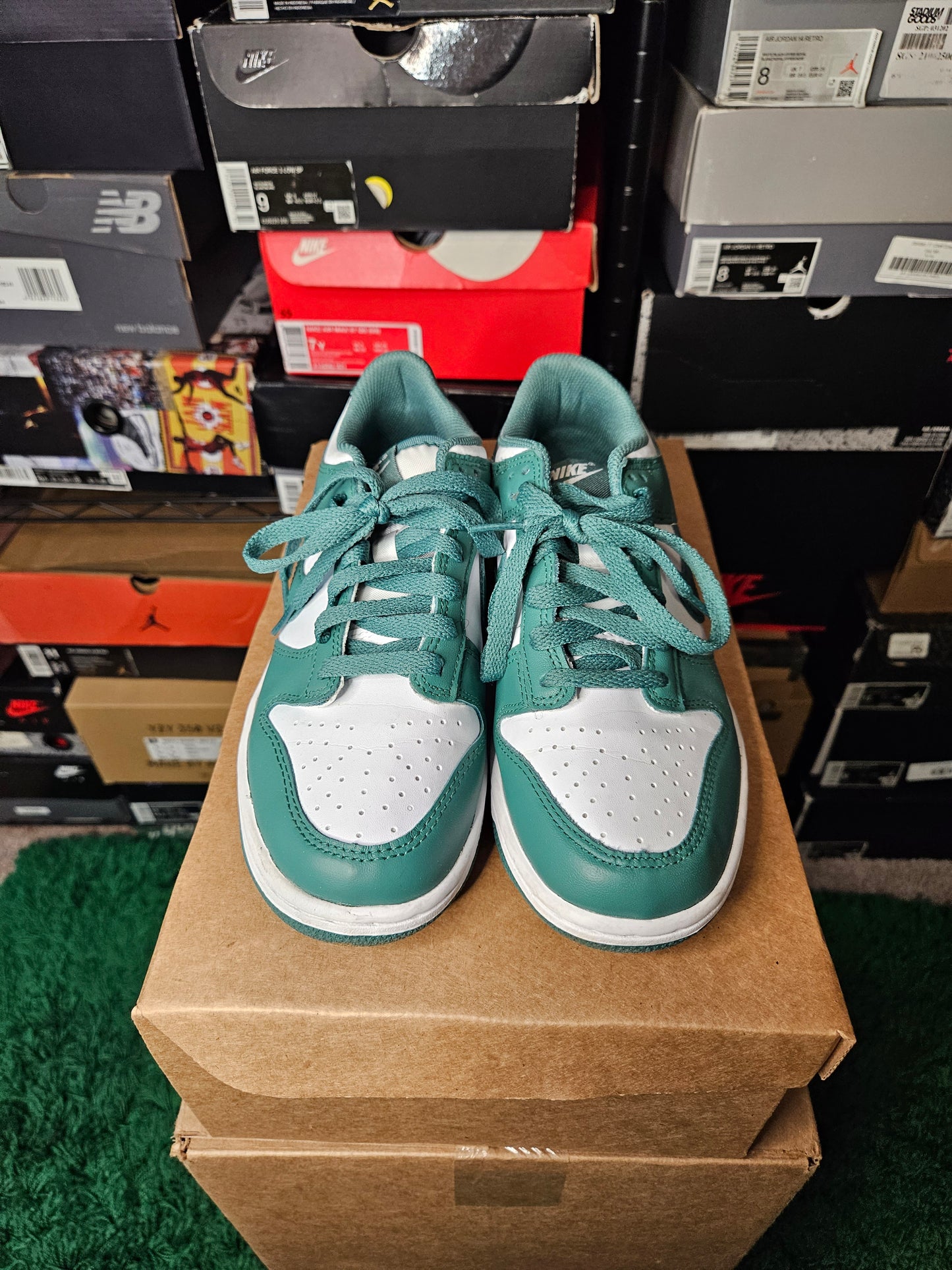 Size 6 - Nike Dunk Low Biocostal