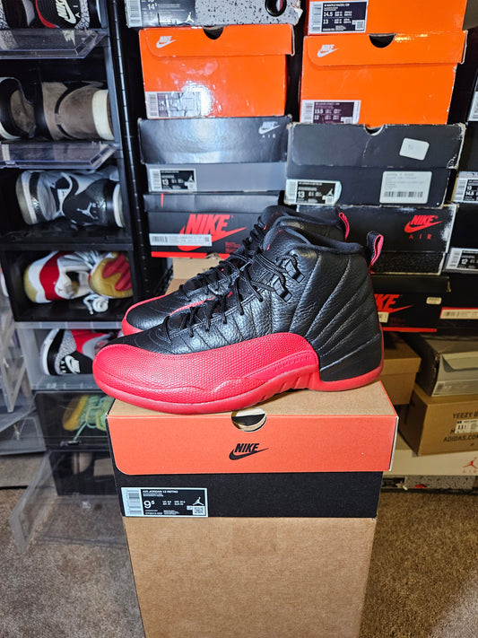 Size 9.5 - AJ 12 Flu Game