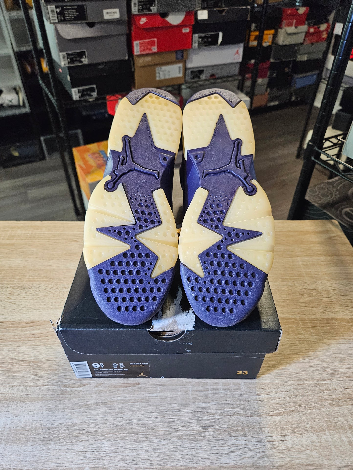 Size 9.5 - AJ 6 Retro Purple Dynasty