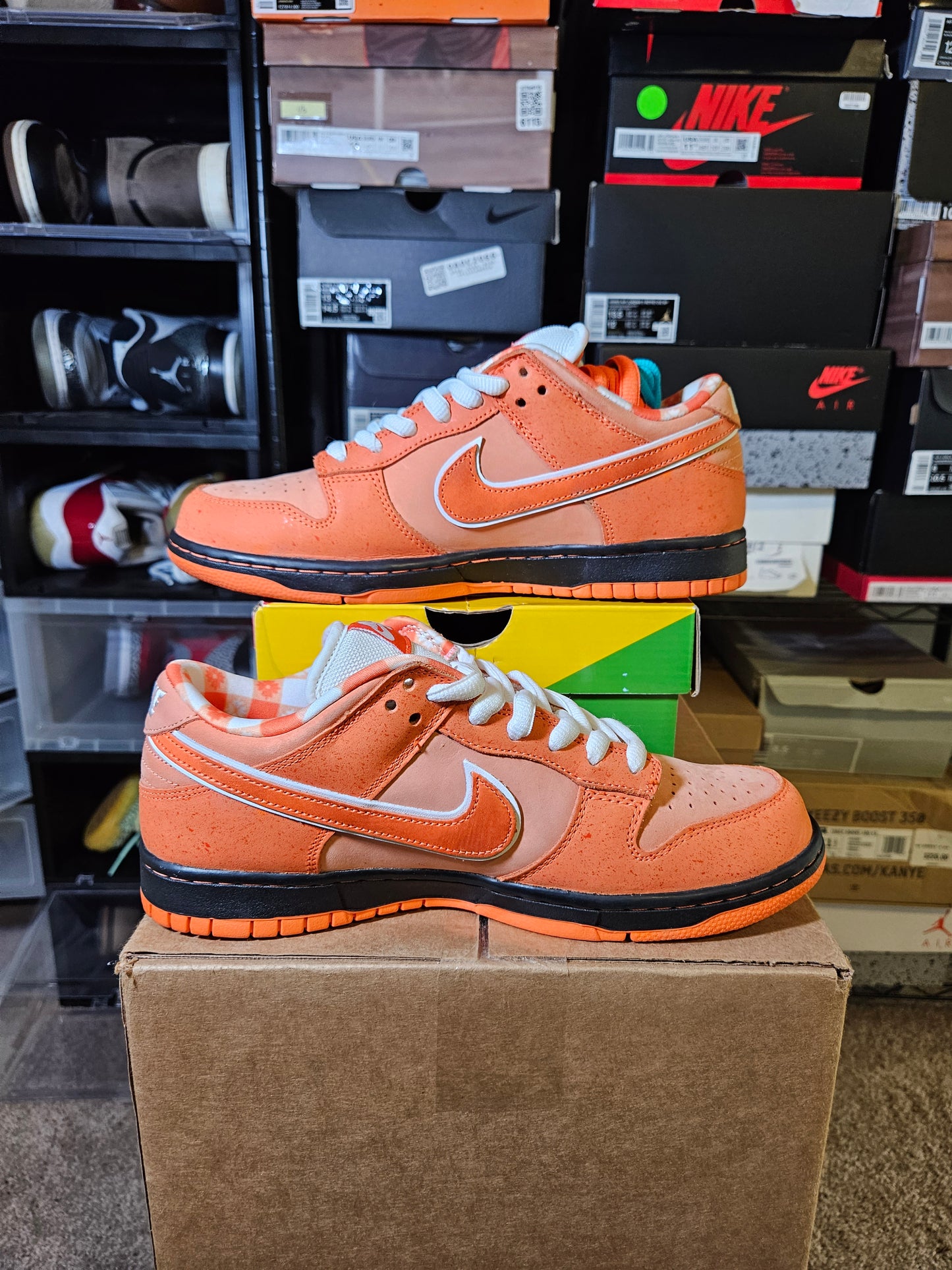 Size 8.5 - Dunk Low SB x Concepts Orange Lobster