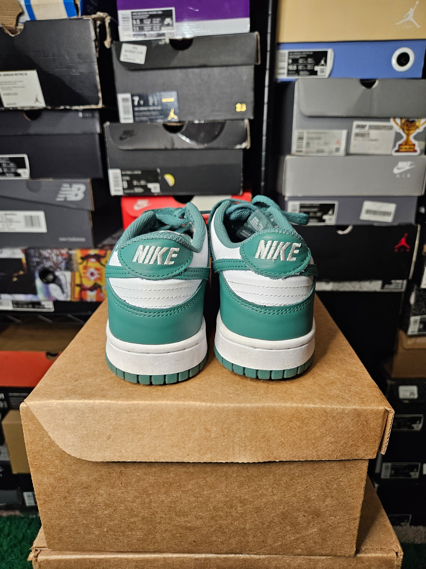 Size 6 - Nike Dunk Low Biocostal