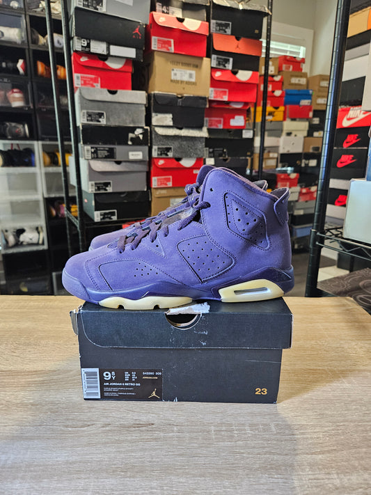 Size 9.5 - AJ 6 Retro Purple Dynasty